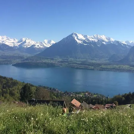 Studio Bergpanorama * Heiligenschwendi