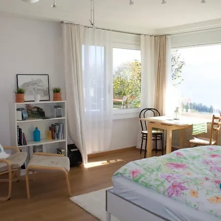 Studio Bergpanorama Heiligenschwendi